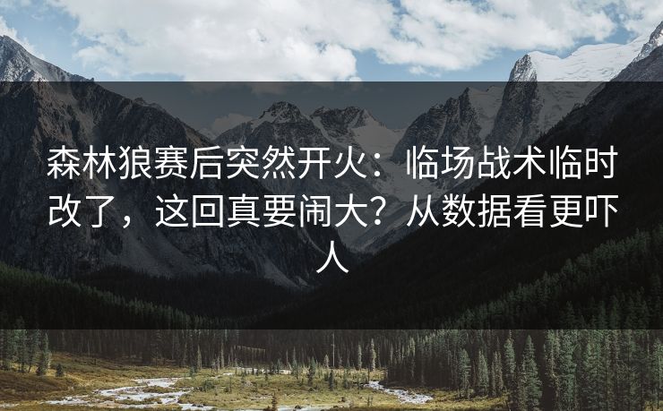 森林狼赛后突然开火：临场战术临时改了，这回真要闹大？从数据看更吓人