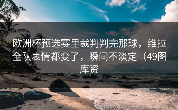 欧洲杯预选赛里裁判判完那球，维拉全队表情都变了，瞬间不淡定（49图库资
